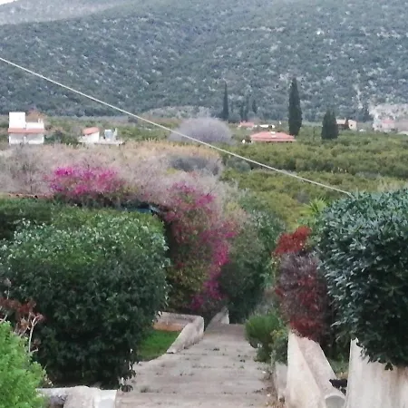 Fanis * Nea Epidavros